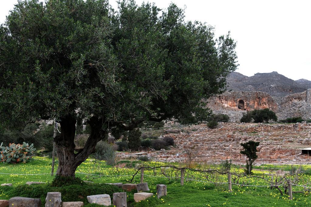Villa Kalliopi Ιncreteble Cretan Resindences Collection Xerokampos  Ngoại thất bức ảnh