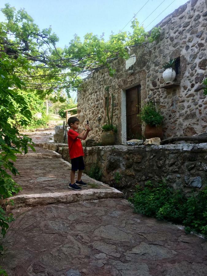 Villa Kalliopi Ιncreteble Cretan Resindences Collection Xerokampos  Ngoại thất bức ảnh