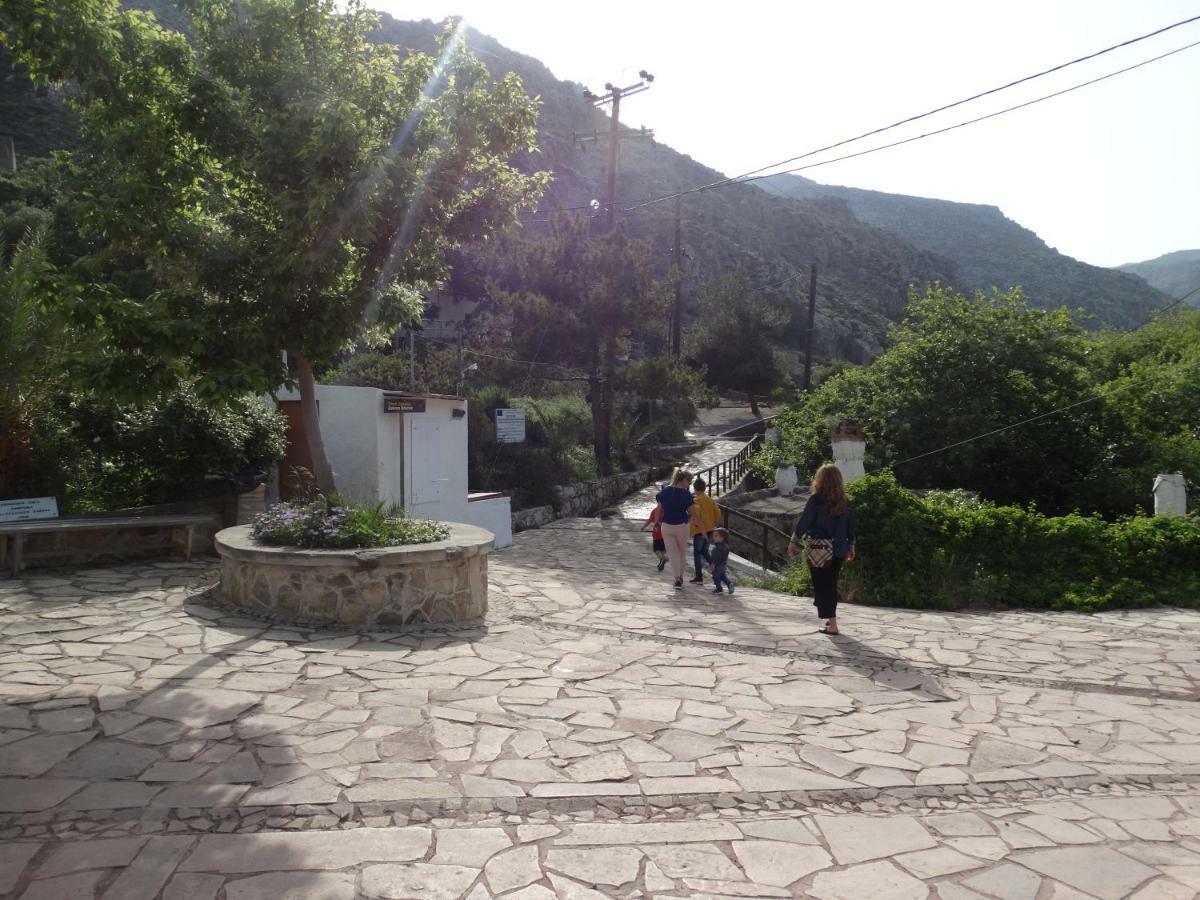 Villa Kalliopi Ιncreteble Cretan Resindences Collection Xerokampos  Ngoại thất bức ảnh